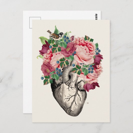 Gevuld aan Overlopend Anatomisch Hart Briefkaart (Voorkant / Achterkant)