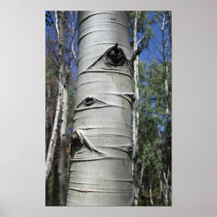 Gewatteerde kleurado Aspen-boom Poster