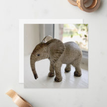 Geweesde Baby Elephant Notecards
