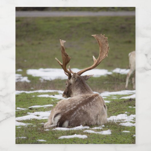 Gewei Wijn Etiket (Enkel label)