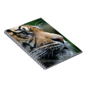 Geweldig Bengaal Tiger Face Notitieboek (Rechterzijde)
