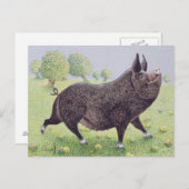 Geweldig Briefkaart (Voorkant / Achterkant)