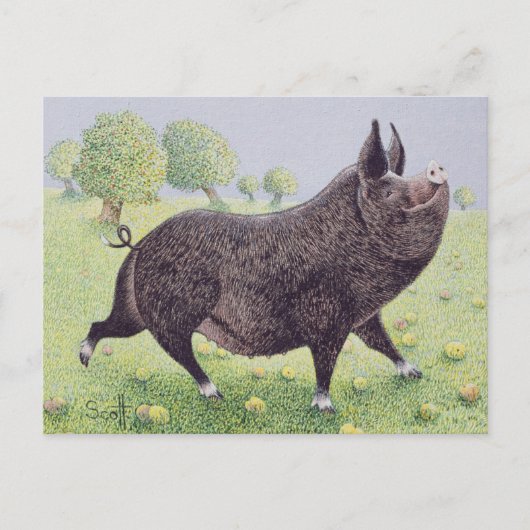 Geweldig Briefkaart (Voorkant)