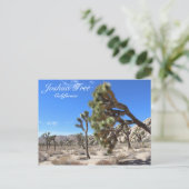 Geweldig Briefkaart van Joshua Tree! (Staand voorkant)