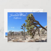 Geweldig Briefkaart van Joshua Tree! (Voorkant / Achterkant)