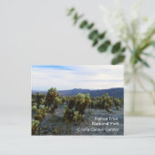 Geweldig Briefkaart van Joshua Tree! (Staand voorkant)