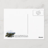 Geweldig Briefkaart van Joshua Tree! (Achterkant)