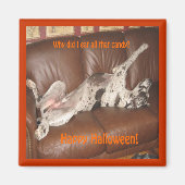 Geweldig Dane Ate teveel Halloween Snoep Magnet Magneet (Voorkant)