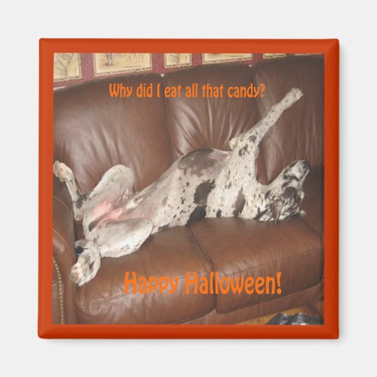 Geweldig Dane Ate teveel Halloween Snoep Magnet Magneet (Voorkant)