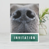 Geweldig Dane Nose omhoog Kaart (Staand voorkant)