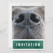 Geweldig Dane Nose omhoog Kaart (Voorkant)