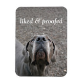 Geweldig dgesteente magneet (Verticaal)