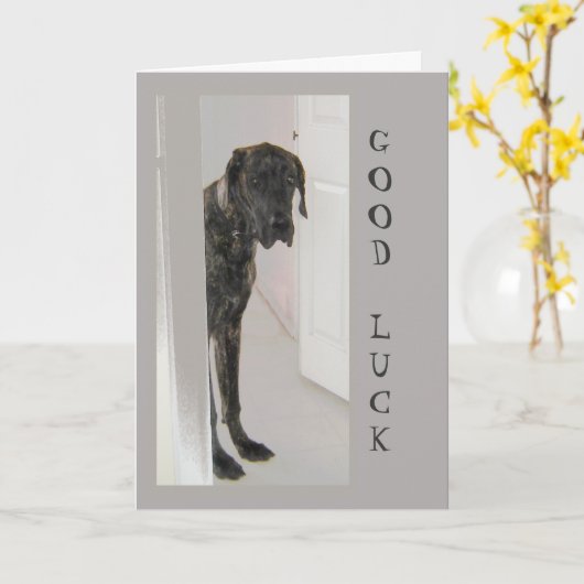 Geweldig gebluste dwerghond kaart (Gele Bloem)