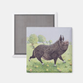 Geweldig Magneet (Voorkant / Achterkant)