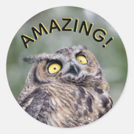 Geweldig! Onder de indruk Uil Stickers