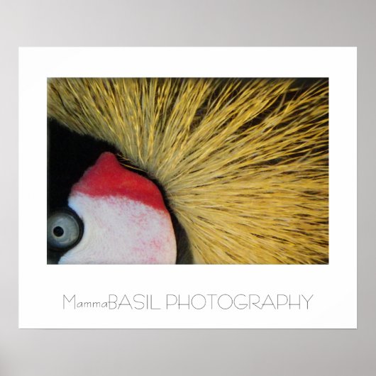 Geweldig Oog Poster! Poster (Voorkant)