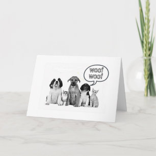 GEWELDIG OP ONZE FAVORIET **VETERINARIAN ** KAART