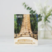 Geweldig Sequoia Briefkaart! Briefkaart (Staand voorkant)
