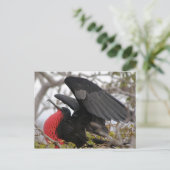 Geweldige bevruchte vogel briefkaart (Staand voorkant)