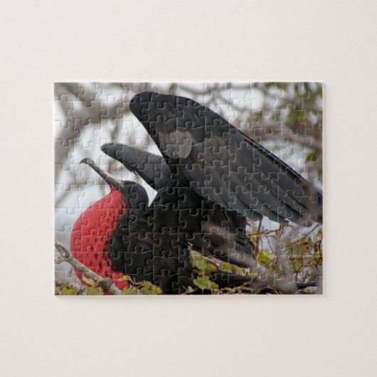 Geweldige bevruchte vogel legpuzzel (Horizontaal)