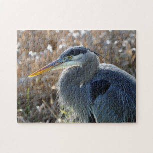 Geweldige Blauwe Heron dicht bij je. Puzzel