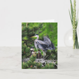 Geweldige Blauwe Heron en zijn baby's! Kaart