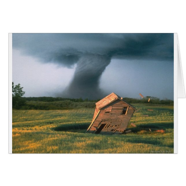 Geweldige bril (Voorkant Horizontaal)