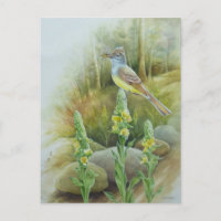 Geweldige brochure Waterverf van vliegende vlieger