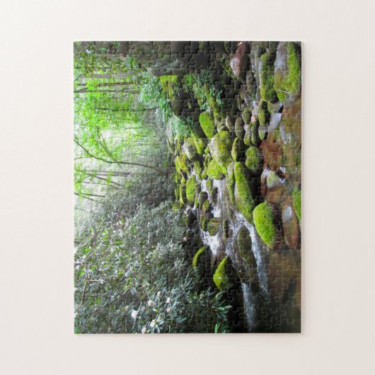 Geweldige Creek Smoky Mountains. Legpuzzel (Verticaal)