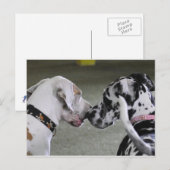 Geweldige Dane Beste vrienden Briefkaart (Voorkant / Achterkant)