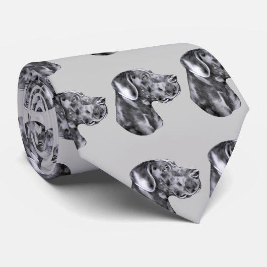 Geweldige Dane Blue Uncroded Stropdas (Opgerold)