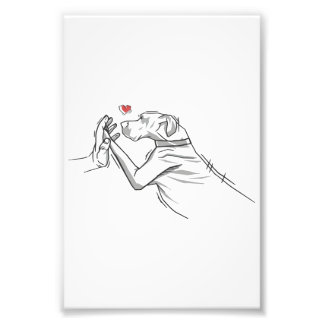 Geweldige Dane Dog Foto Afdruk