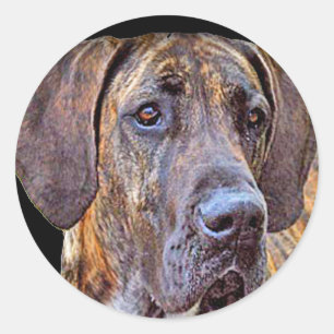 "Geweldige ddadige" Ronde Sticker
