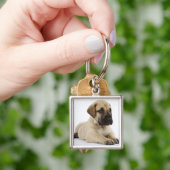 Geweldige ddoenpuppy Lying in Studio Sleutelhanger (Hand)
