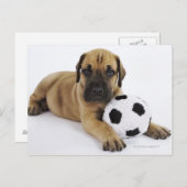 Geweldige dgestalte met speelgoed voetbal briefkaart (Voorkant / Achterkant)