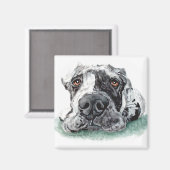 Geweldige dgestapte in Merle Magneet (Voorkant / Achterkant)