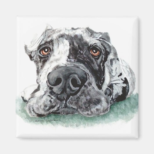 Geweldige dgestapte in Merle Magneet (Voorkant)