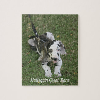 Geweldige dgestapte puzzle legpuzzel