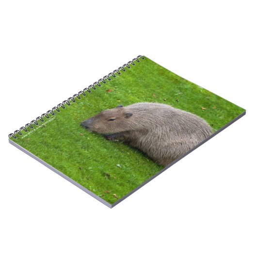 Geweldige dier capibara notitieboek (Linkerzijde)