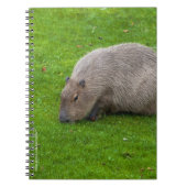 Geweldige dier capibara notitieboek (Voorkant)