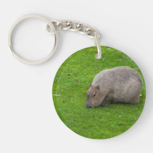 Geweldige dier capibara sleutelhanger