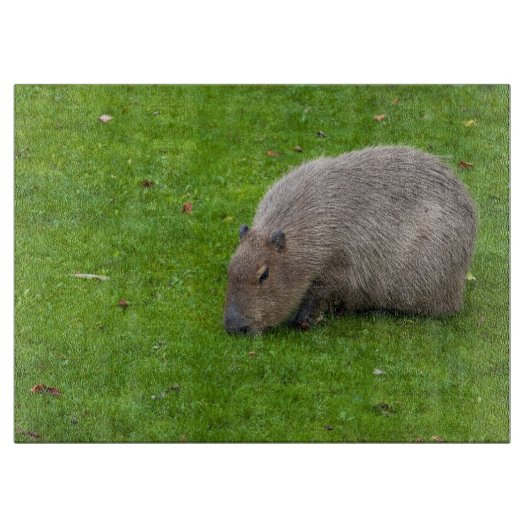 Geweldige dier capibara snijplank (Voorkant)