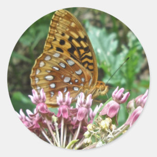 Geweldige gepantserde Fritillary Coordinating Item Ronde Sticker