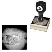 Geweldige ijsdraak rubberstempel (Gestempeld)