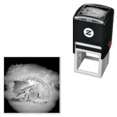 Geweldige ijsdraak  zelfinktende stempel (In situ)