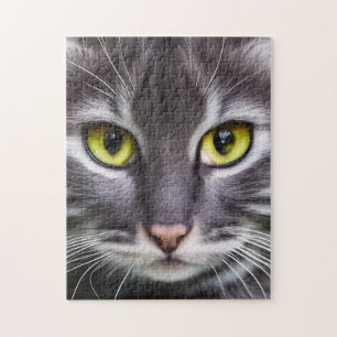 Geweldige kattenportret legpuzzel