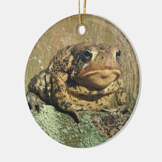Geweldige kerstversiering met Toadly Toadly Keramisch Ornament (Links)