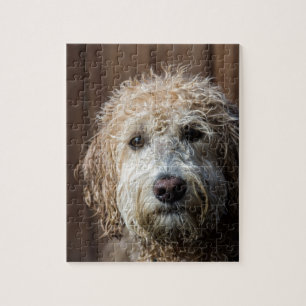 Geweldige Labradoodle Pup-cadeaus Legpuzzel