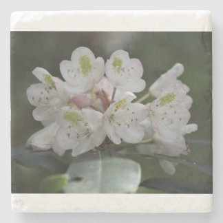 Geweldige Laurel Stenen Onderzetter