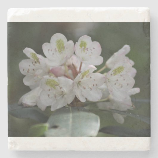 Geweldige Laurel Stenen Onderzetter (Voorkant)